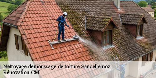 Nettoyage demoussage de toiture sancellemoz-74480 Rénovation CM