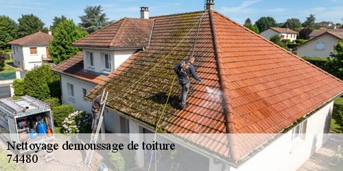 Nettoyage demoussage de toiture sancellemoz-74480 Rénovation CM