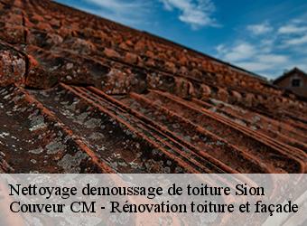 Nettoyage demoussage de toiture sion-74150 Couveur CM - Rénovation toiture et façade