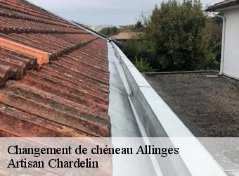 Changement de chéneau  allinges-74200 Artisan Chardelin