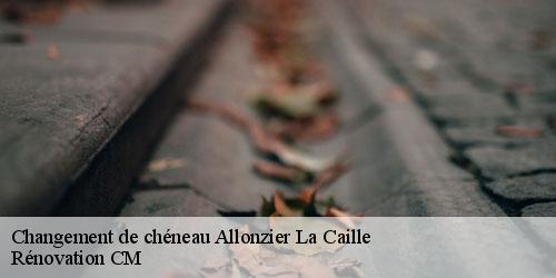 Changement de chéneau allonzier-la-caille-74350 Rénovation CM