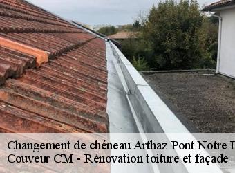 Changement de chéneau arthaz-pont-notre-dame-74380 Couveur CM - Rénovation toiture et façade