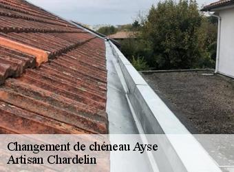 Changement de chéneau  ayse-74130 Artisan Chardelin