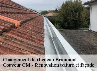 Changement de chéneau beaumont-74160 Couveur CM - Rénovation toiture et façade