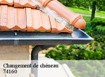 Changement de chéneau 74160