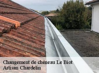 Changement de chéneau  le-biot-74430 Artisan Chardelin