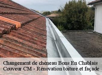 Changement de chéneau bons-en-chablais-74890 Couveur CM - Rénovation toiture et façade