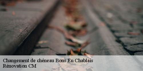 Changement de chéneau  bons-en-chablais-74890 Rénovation CM
