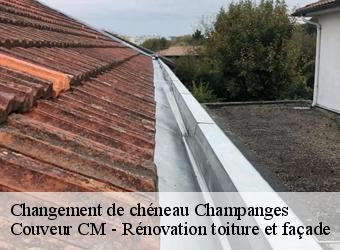Changement de chéneau  champanges-74500 Couveur CM - Rénovation toiture et façade