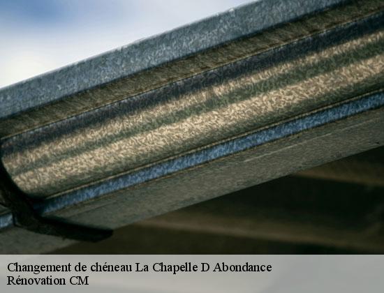 Changement de chéneau la-chapelle-d-abondance-74360 Rénovation CM