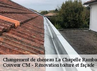 Changement de chéneau  la-chapelle-rambaud-74800 Couveur CM - Rénovation toiture et façade