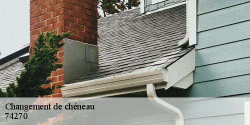 Changement de chéneau chavannaz-74270 Rénovation CM