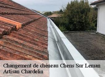 Changement de chéneau  chens-sur-leman-74140 Artisan Chardelin