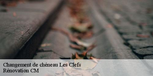 Changement de chéneau  les-clefs-74230 Rénovation CM