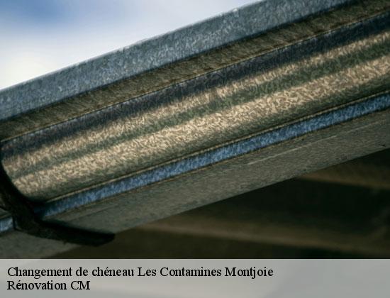 Changement de chéneau les-contamines-montjoie-74170 Rénovation CM
