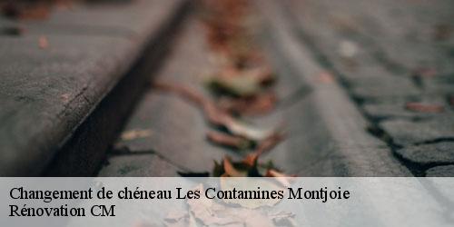 Changement de chéneau les-contamines-montjoie-74170 Rénovation CM