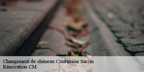 Changement de chéneau  contamine-sarzin-74270 Rénovation CM