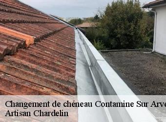 Changement de chéneau  contamine-sur-arve-74130 Artisan Chardelin