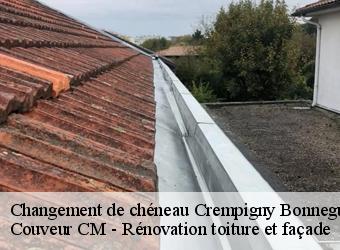 Changement de chéneau crempigny-bonneguete-74150 Couveur CM - Rénovation toiture et façade