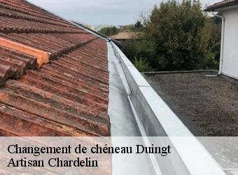 Changement de chéneau  duingt-74410 Artisan Chardelin