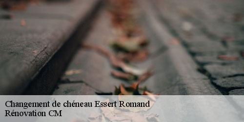 Changement de chéneau essert-romand-74110 Rénovation CM
