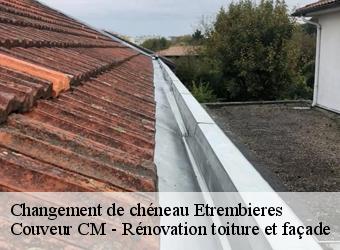 Changement de chéneau  etrembieres-74100 Couveur CM - Rénovation toiture et façade