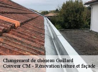 Changement de chéneau  gaillard-74240 Couveur CM - Rénovation toiture et façade