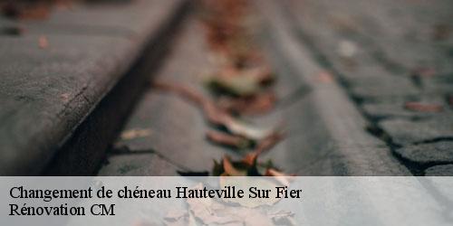 Changement de chéneau  hauteville-sur-fier-74150 Rénovation CM