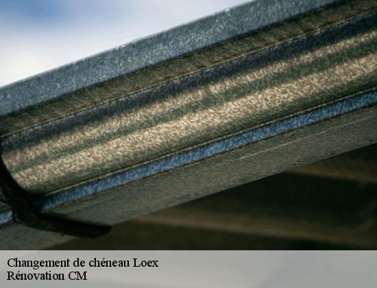 Changement de chéneau  loex-74380 Rénovation CM
