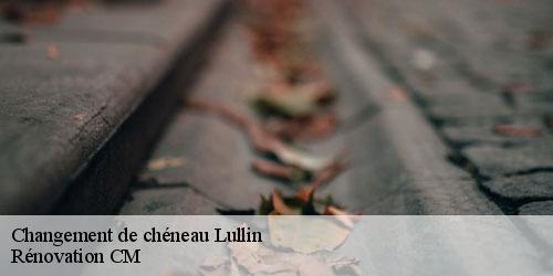 Changement de chéneau  lullin-74470 Rénovation CM
