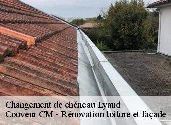 Changement de chéneau  lyaud-74200 Couveur CM - Rénovation toiture et façade