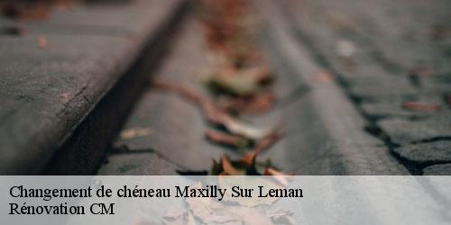 Changement de chéneau  maxilly-sur-leman-74500 Rénovation CM