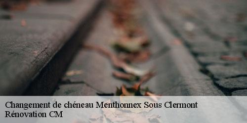 Changement de chéneau menthonnex-sous-clermont-74270 Rénovation CM