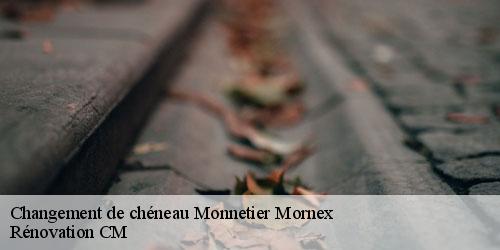 Changement de chéneau monnetier-mornex-74560 Rénovation CM