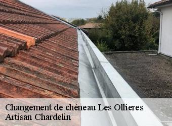 Changement de chéneau  les-ollieres-74370 Artisan Chardelin