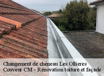 Changement de chéneau  les-ollieres-74370 Couveur CM - Rénovation toiture et façade