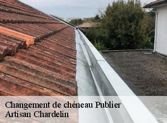 Changement de chéneau  publier-74500 Artisan Chardelin