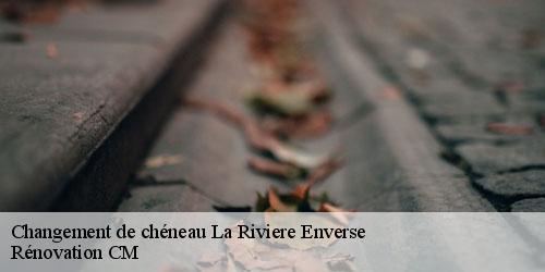 Changement de chéneau  la-riviere-enverse-74440 Rénovation CM