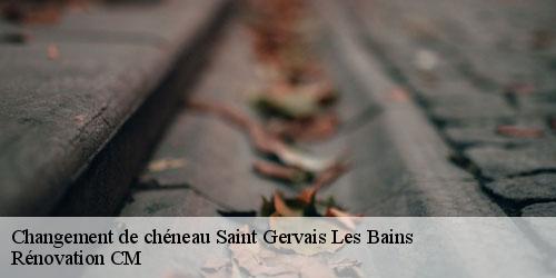 Changement de chéneau saint-gervais-les-bains-74170 Rénovation CM