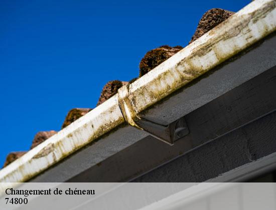 Changement de chéneau saint-laurent-74800 Rénovation CM