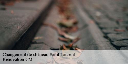 Changement de chéneau saint-laurent-74800 Rénovation CM