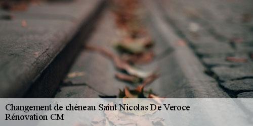 Changement de chéneau saint-nicolas-de-veroce-74190 Rénovation CM