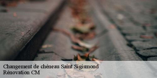Changement de chéneau saint-sigismond-74300 Rénovation CM
