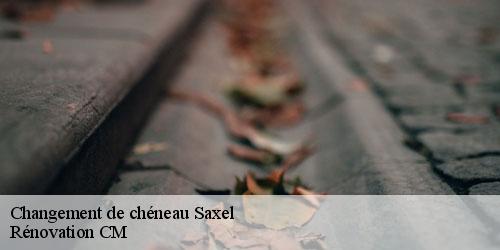 Changement de chéneau saxel-74420 Rénovation CM