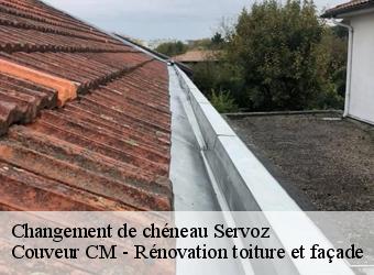 Changement de chéneau servoz-74310 Couveur CM - Rénovation toiture et façade