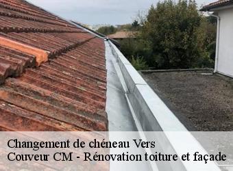 Changement de chéneau vers-74160 Couveur CM - Rénovation toiture et façade