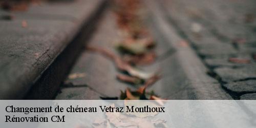 Changement de chéneau vetraz-monthoux-74100 Rénovation CM