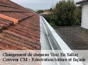 Changement de chéneau viuz-en-sallaz-74250 Couveur CM - Rénovation toiture et façade