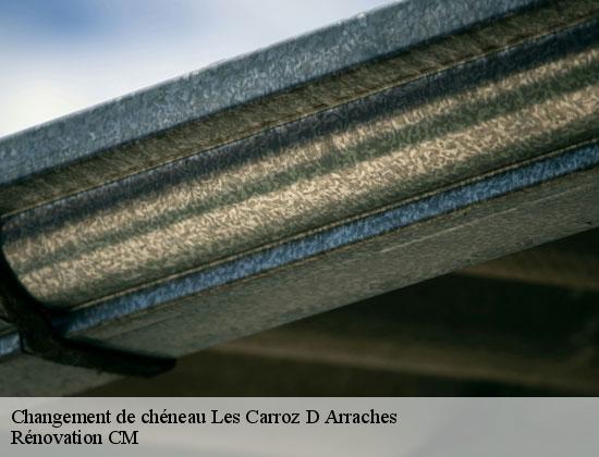 Changement de chéneau les-carroz-d-arraches-74300 Rénovation CM