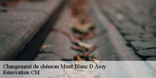 Changement de chéneau  mont-blanc-d-assy-74480 Rénovation CM